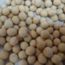 Ihコンロでも 節分に 炒り大豆 レシピ 作り方 By はっぴーくじら 楽天レシピ Ihコンロでも 節分に 炒り大豆 レシピ 作り方 By はっぴーくじら 楽天レシピ